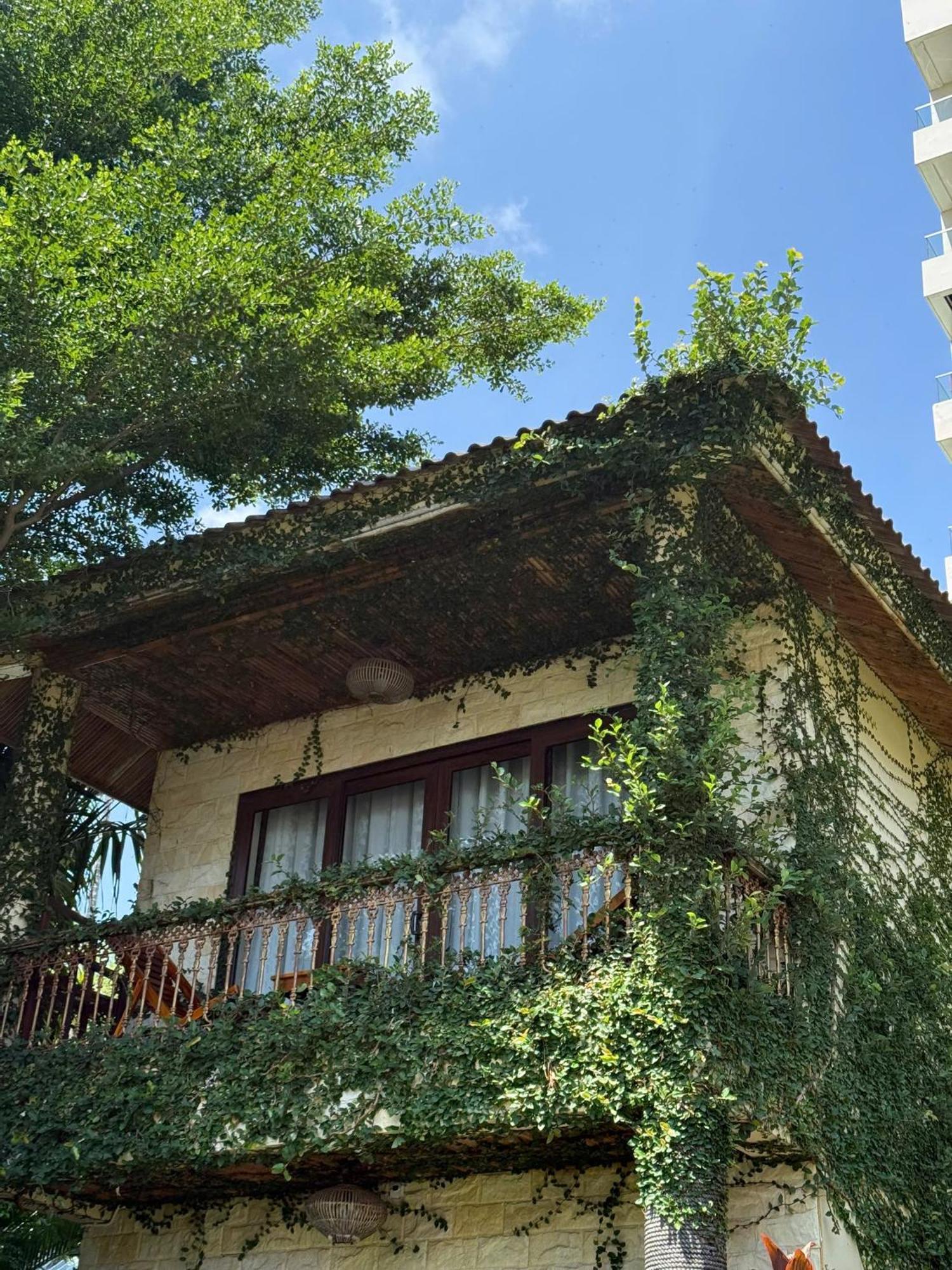 Khu nghỉ mát Coral Bay